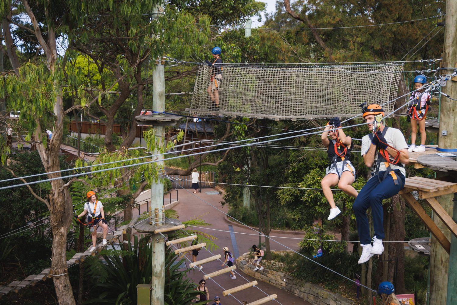 Zipline with Friends Treetops Adventure Wild Ropes at Taronga Zoo