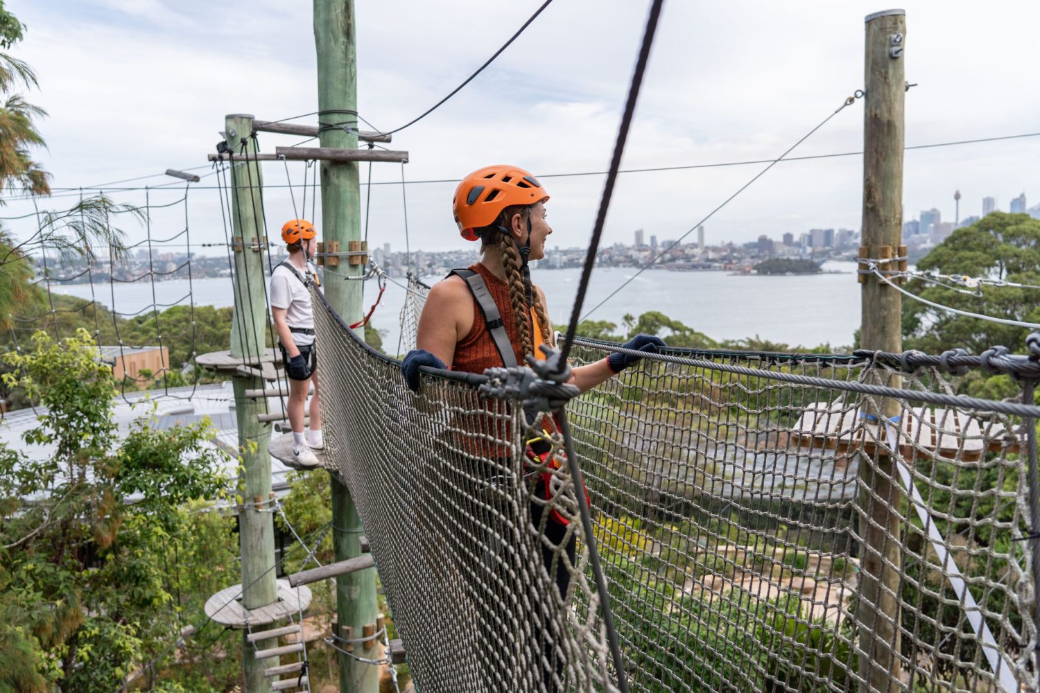 View of Sydney Harbour Treetops Adventure Wild Ropes at Taronga Zoo