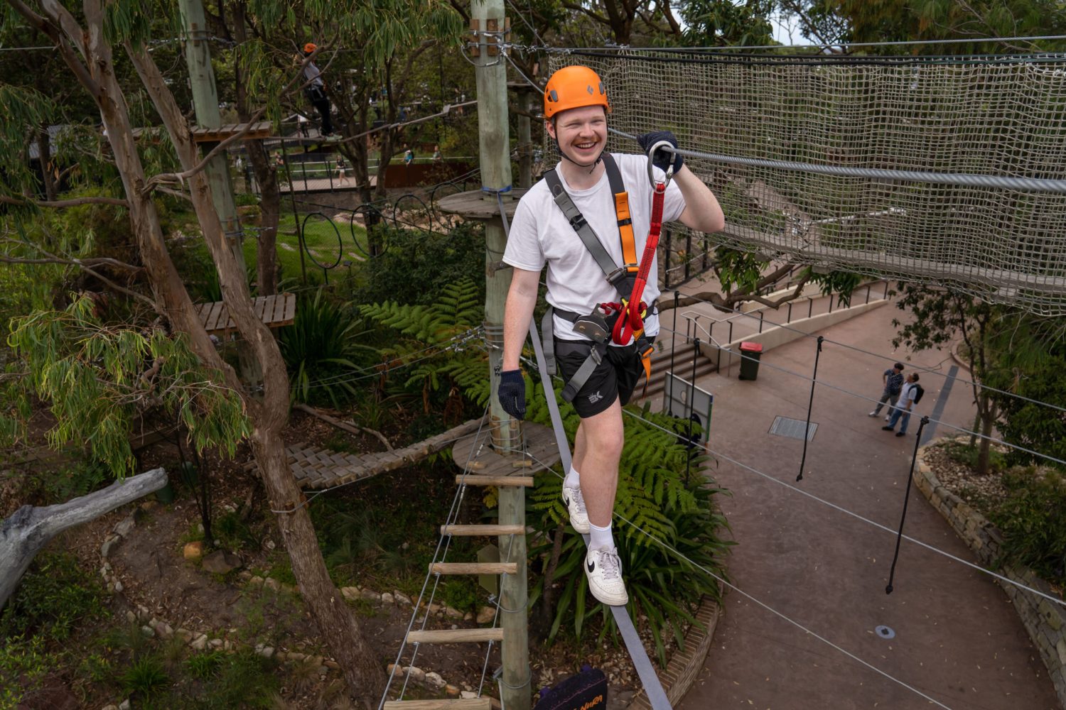 Treetops Adventure Wild Ropes at Taronga Zoo