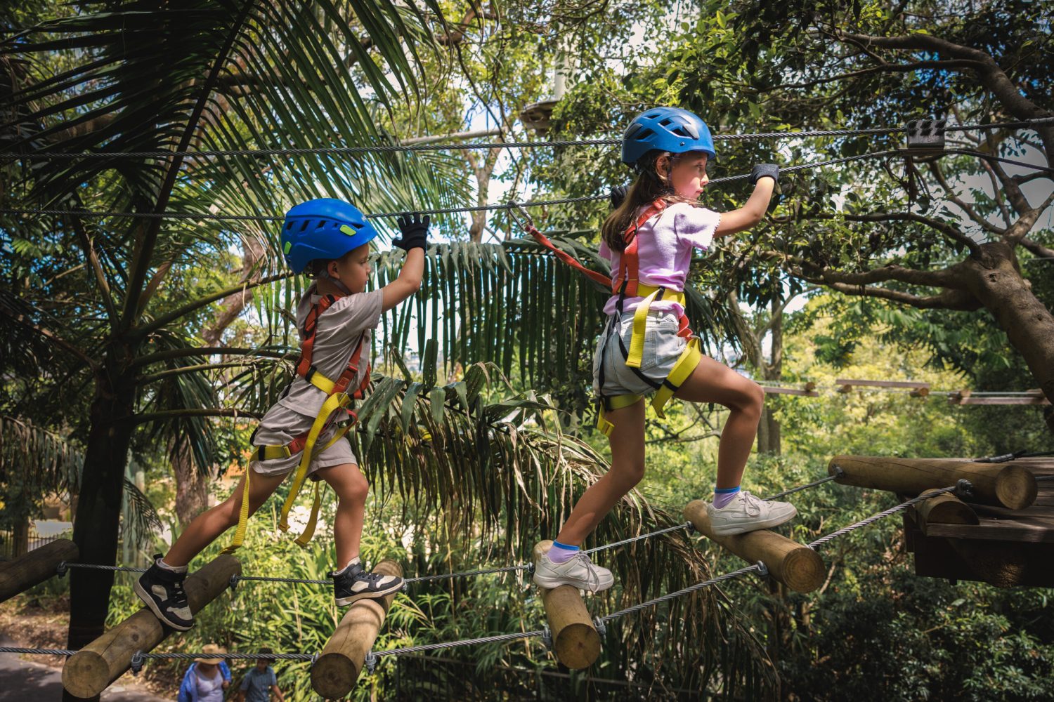 Kids at Treetops Adventure Wild Ropes at Taronga Zoo